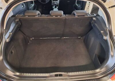 Kemijsko čišćenje vozila - fotografija 149